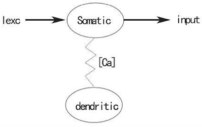 Dynamics Analysis of Firing Patterns in Pre-Bötzinger Complex Neurons Model